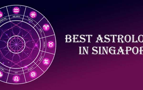 Best Astrologer in Bishan | Famous Astrologer in Bishan