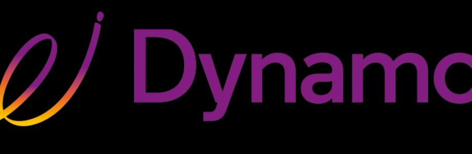 Dynamo InfoTech Cover Image