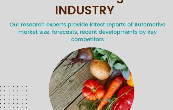 North America Probiotic Supplements Market 2023 Highlights, Recent Trends, Business Opportunities till 2028