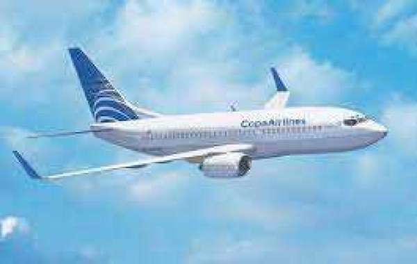 Can I change my Copa Airlines flight Online?