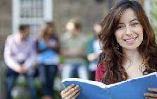 Boost Your Scores with The Guidance Of Paper Helper In USA