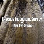 Cascade biologicalsupply Profile Picture