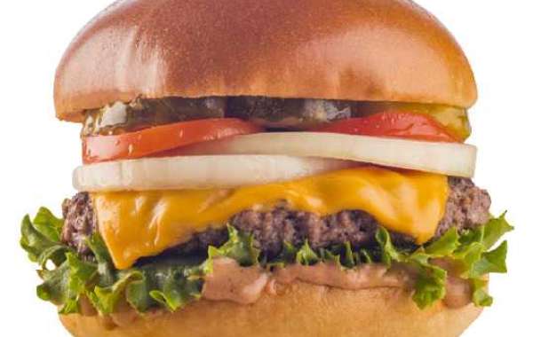 Sizl Burger: The Unbelievably Delicious Taste of Sizzle Burgers