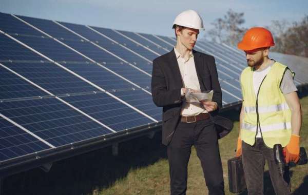 Solar Energy Contractors: Separating the Best from the Rest