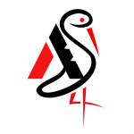 Apk stork Profile Picture