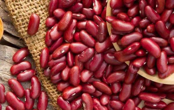 Red Beans: What Are the Medical advantages?