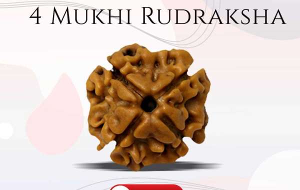 Purchase Certified 4 Mukhi Rudraksha At Wholesale Price Price