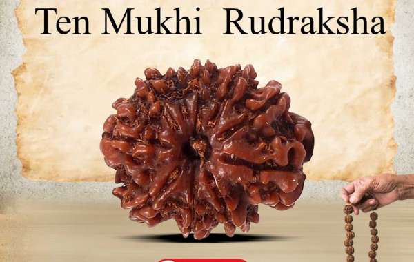 Shop Natural 10 Mukhi Rudraksha At Best Price In India