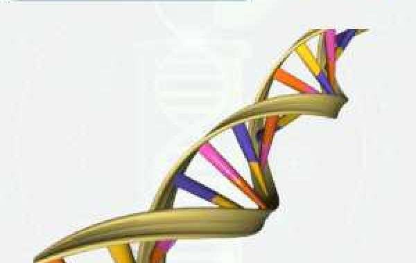 Gene Synthesis Market Volume Forecast and Value Chain Analysis during 2022-2029
