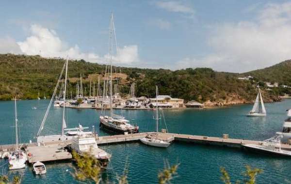 Discover the Beauty of the British Virgin Islands with a Sailing Charter
