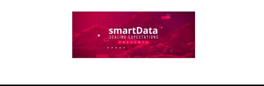 smartData Enterprises Inc Cover Image