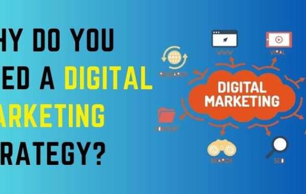 Digital Marketing Training and Certification