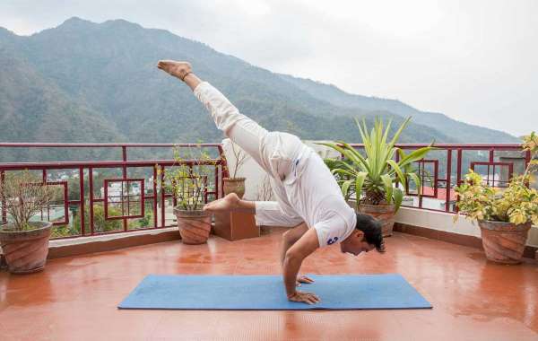 200 Hour Yoga Teacher Training in Rishikesh | 200 yoga TTC in Rishikesh
