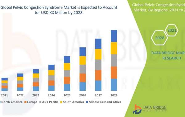 Pelvic Congestion Syndrome Market Drivers and Opportunities by 2028