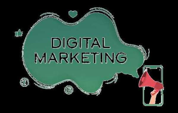 Best Digital Marketing Agency in Faridabad