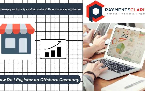 How offshore payment processors works