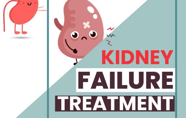 Kidney Failure treatment by Homeopathy Understanding The Benefits