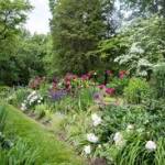 garden reviewer Profile Picture