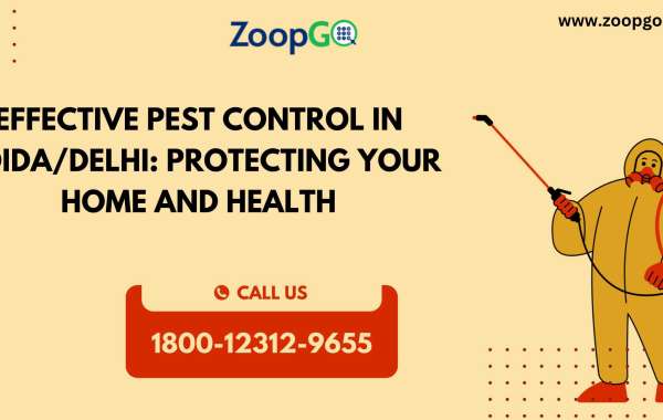 Effective pest control in Noida/Delhi: Protecting your home and health