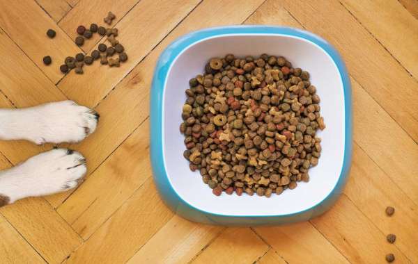Best Quality Dog Food Supplies USA: How to Choose the Right Food for Your Canine Companion