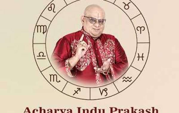 Get Accurate Kundli Analysis and Vastu Consultation from World Famous Astrologer Acharya Indu Prakash