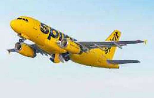 Comment Contacter Spirit Airlines Directement ?