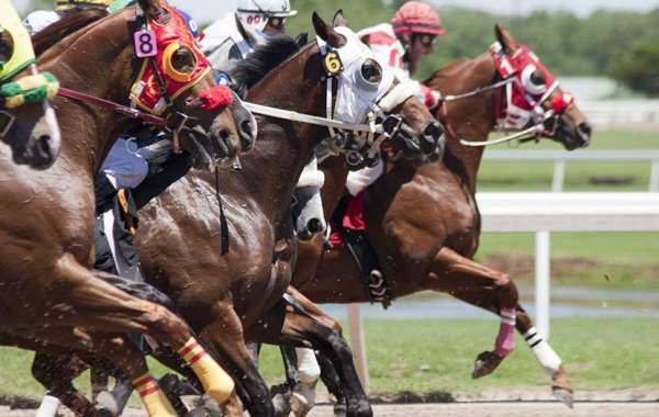 A Step-By-Step Guide To Buying Your First Racehorse