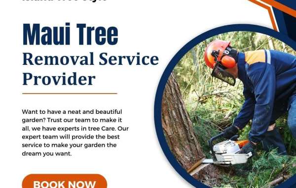 Maui Tree Removal Service Provider - Island Tree Style