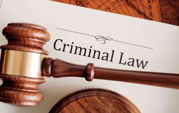 Finding the Best Criminal Lawyer in Delhi