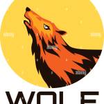 Thewolf desert profile picture