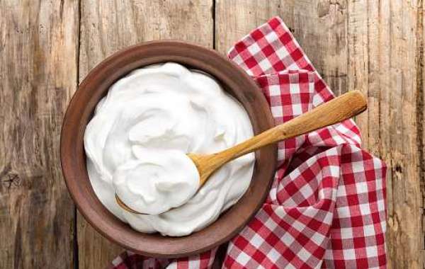 Dairy Cream Market Overview with Regional Growth, Price, and Forecast 2028