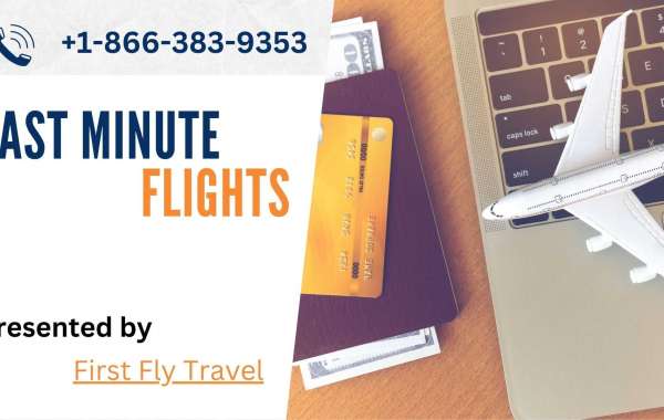 Last Minute Flights With Amazing Deals - FirstFlyTravel