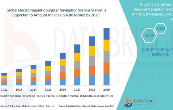 Industry Growth Reports of Electromagnetic Surgical Navigation System Market
