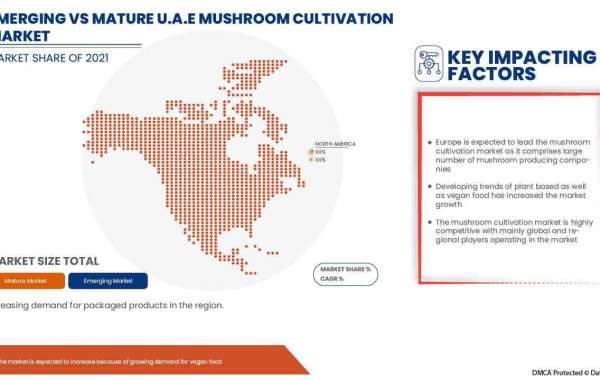 U.A.E Mushroom Cultivation Market Trends, Share, Industry Size, Growth, Demand, Opportunities and Global Forecast