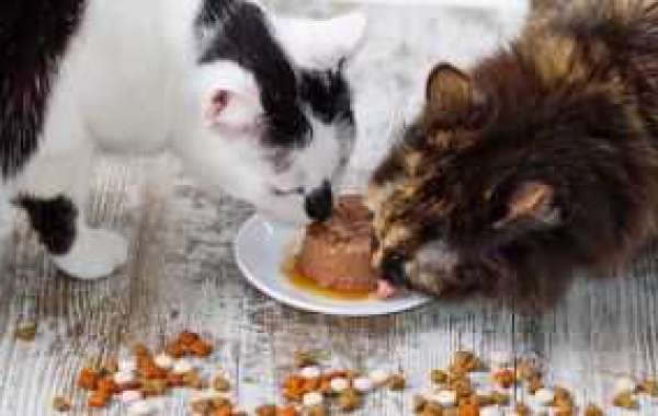 Raw Cat Food: Unleashing the Carnivorous Instincts