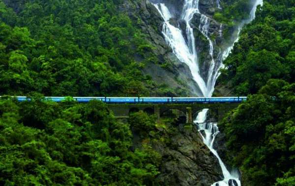 Dudhsagar Waterfall and Beyond: Exploring the Natural Beauty of Goa