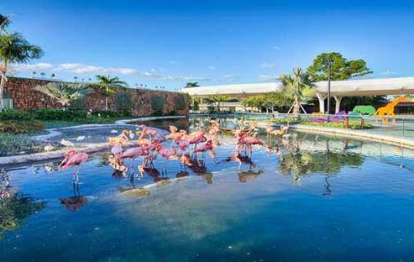 Best Zoos and Aquariums In Miami