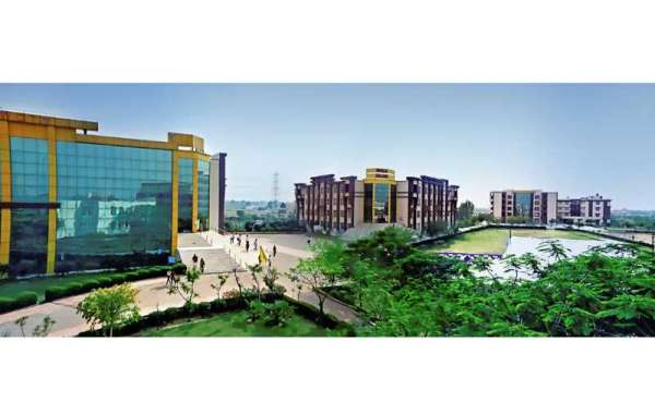 World College of Technology and Management Gurgaon