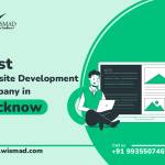 Wismad - Best Website Development Company in Lucknow Profile Picture