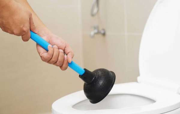 Dealing with a Blocked Toilet: How to Handle the Situation and Hire Professional Plumbers