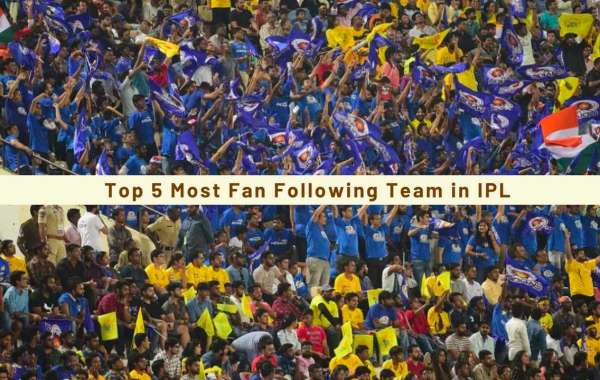 Top 5 Most Fan Following Team in IPL [2023]