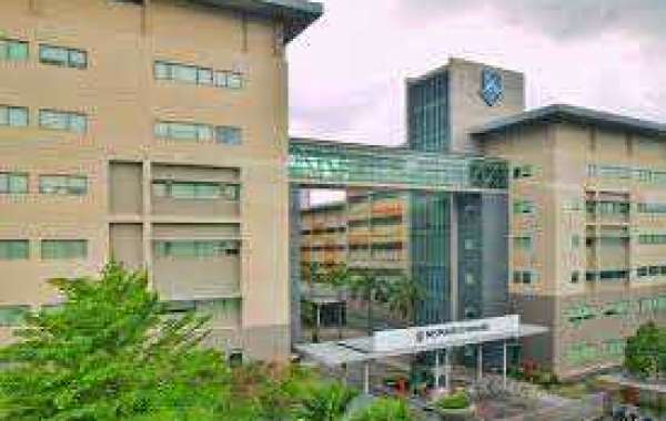 MBBS in malaysia