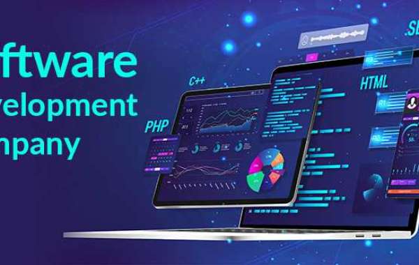 Are You Searching For Software Development Company In Delhi?