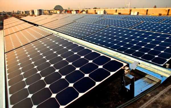 Harness the Power of the Sun with Organic Solar Energy Companies