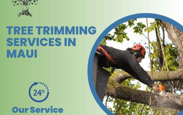 Tree Trimming Services in Maui | Island Tree Style