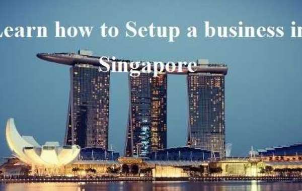 Setting up a business in Singapore