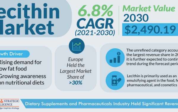 Lecithin Market Share, Growing Demand, and Top Key Players