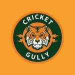 Cricket Gully Profile Picture