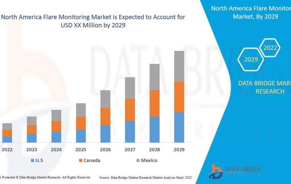 North America Flare Monitoring Market Analysis Size, Scope, Application, Technology, Diagnosis by 2029