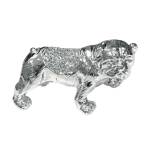 Crushed Diamond Miniature Bull Dog Profile Picture